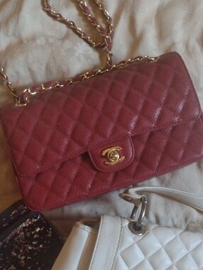 Purse Bundle $175